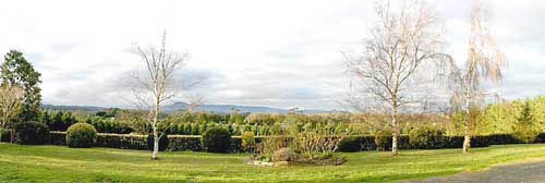 From the house yard