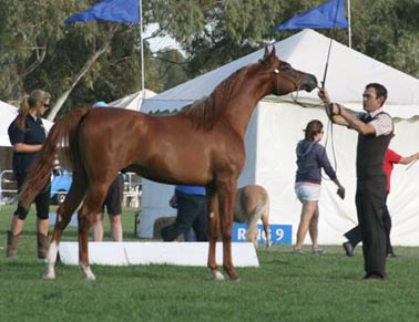 Eklipse at the Summer Royal