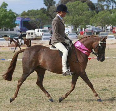 Poppy at Goulburn Valley