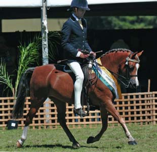 Wade riding Genevieve
