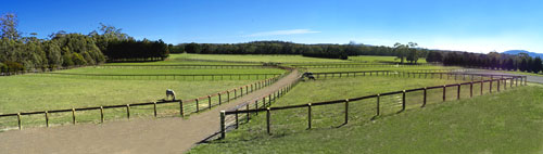 Yards at Syrah seen from the stableblock