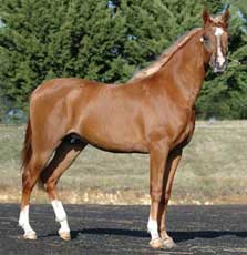 Valor - click to see enlarged